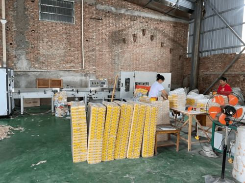 農(nóng)村辦衛(wèi)生紙加工廠 市場(chǎng)前景與個(gè)人衛(wèi)生用品銷(xiāo)售策略探析